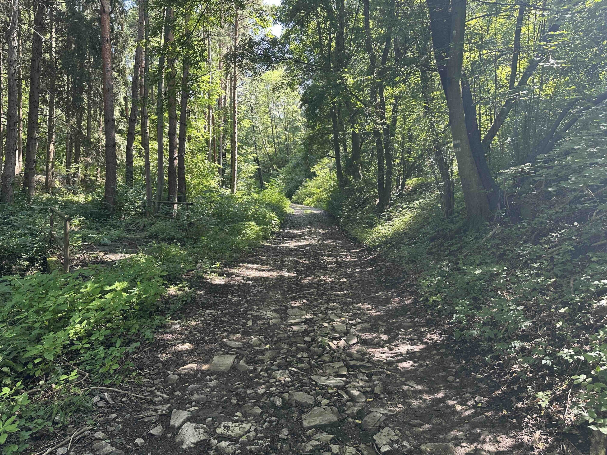 Wolfpassing-Unterkirchbach3