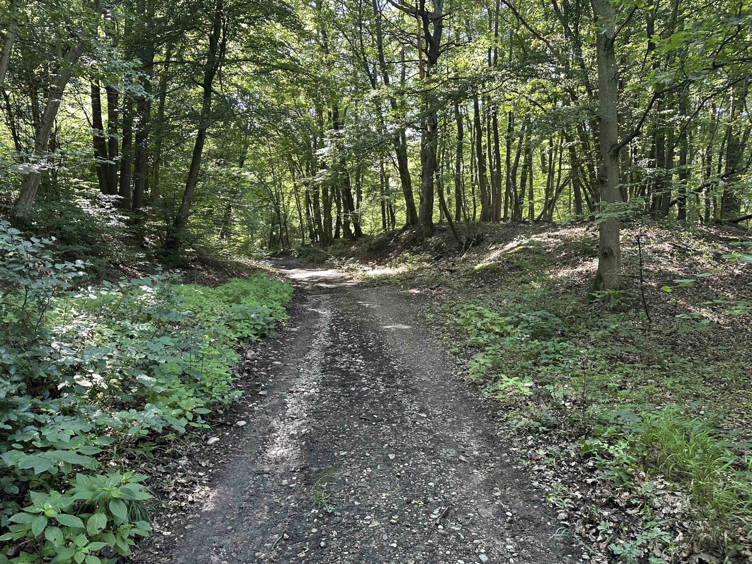 Wolfpassing-Unterkirchbach5