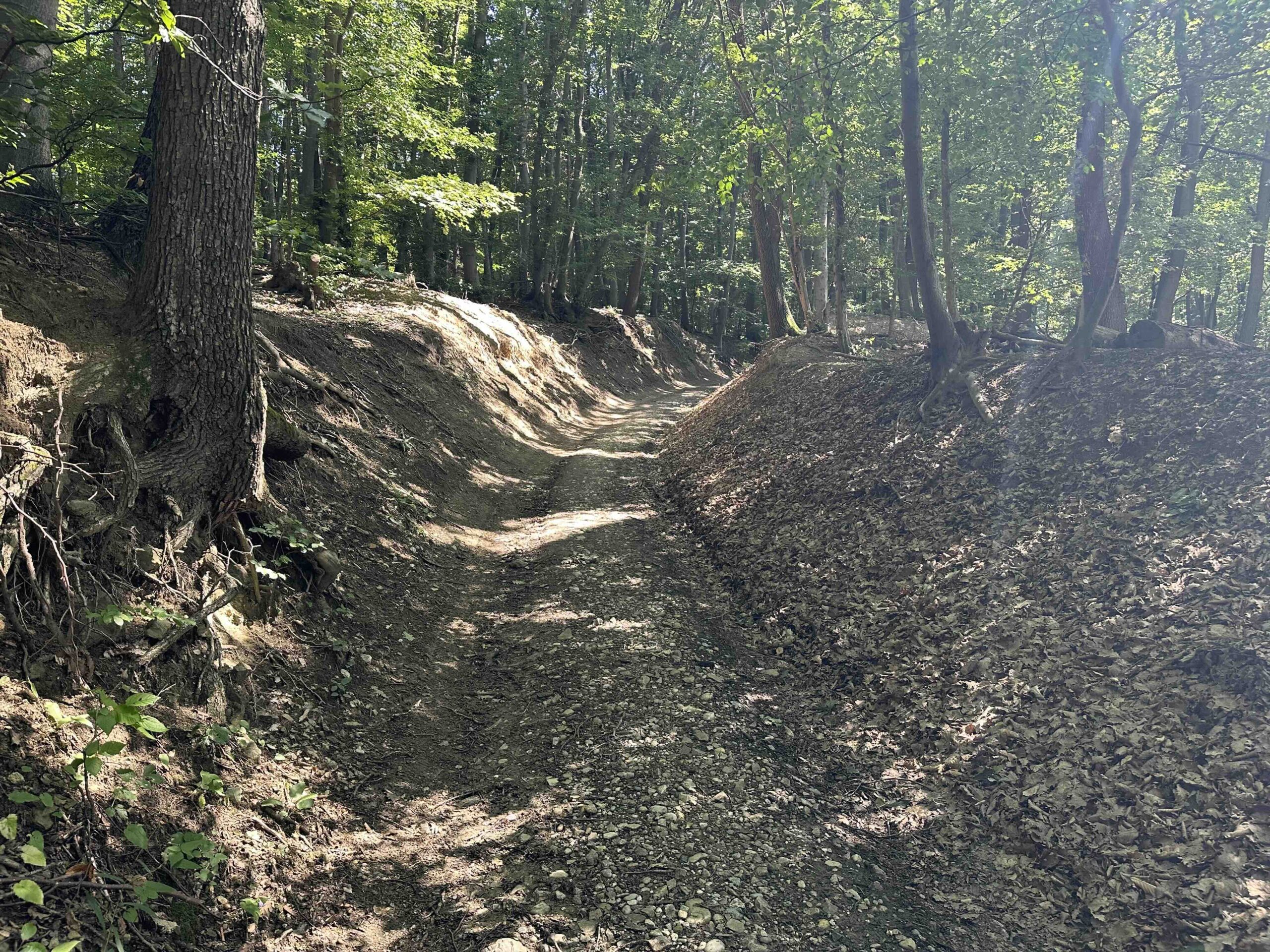 Wolfpassing-Unterkirchbach7