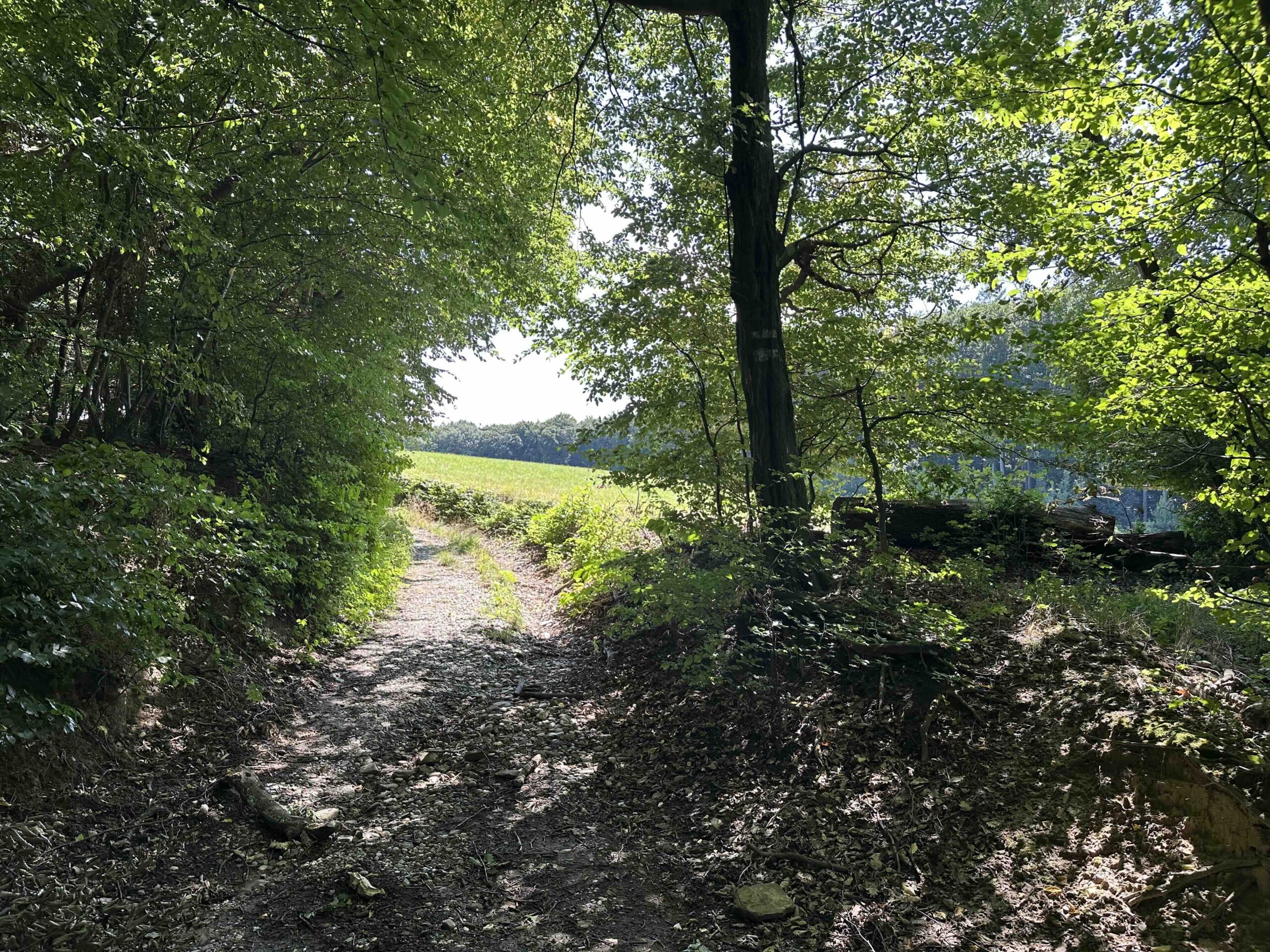 Wolfpassing-Unterkirchbach8