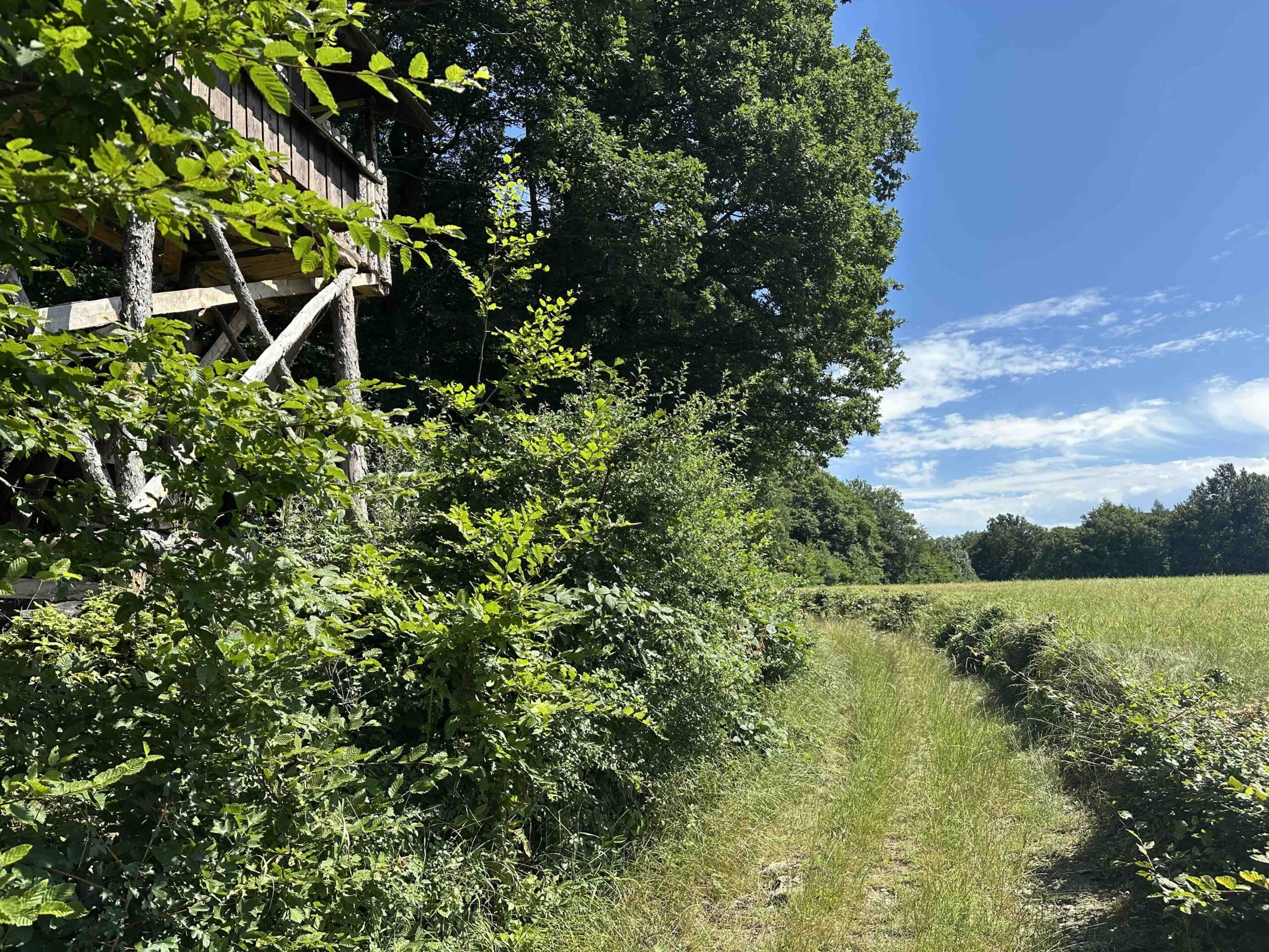 Wolfpassing-Unterkirchbach9