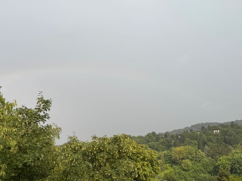 20250724-Jugendmarkierungswanderung-003