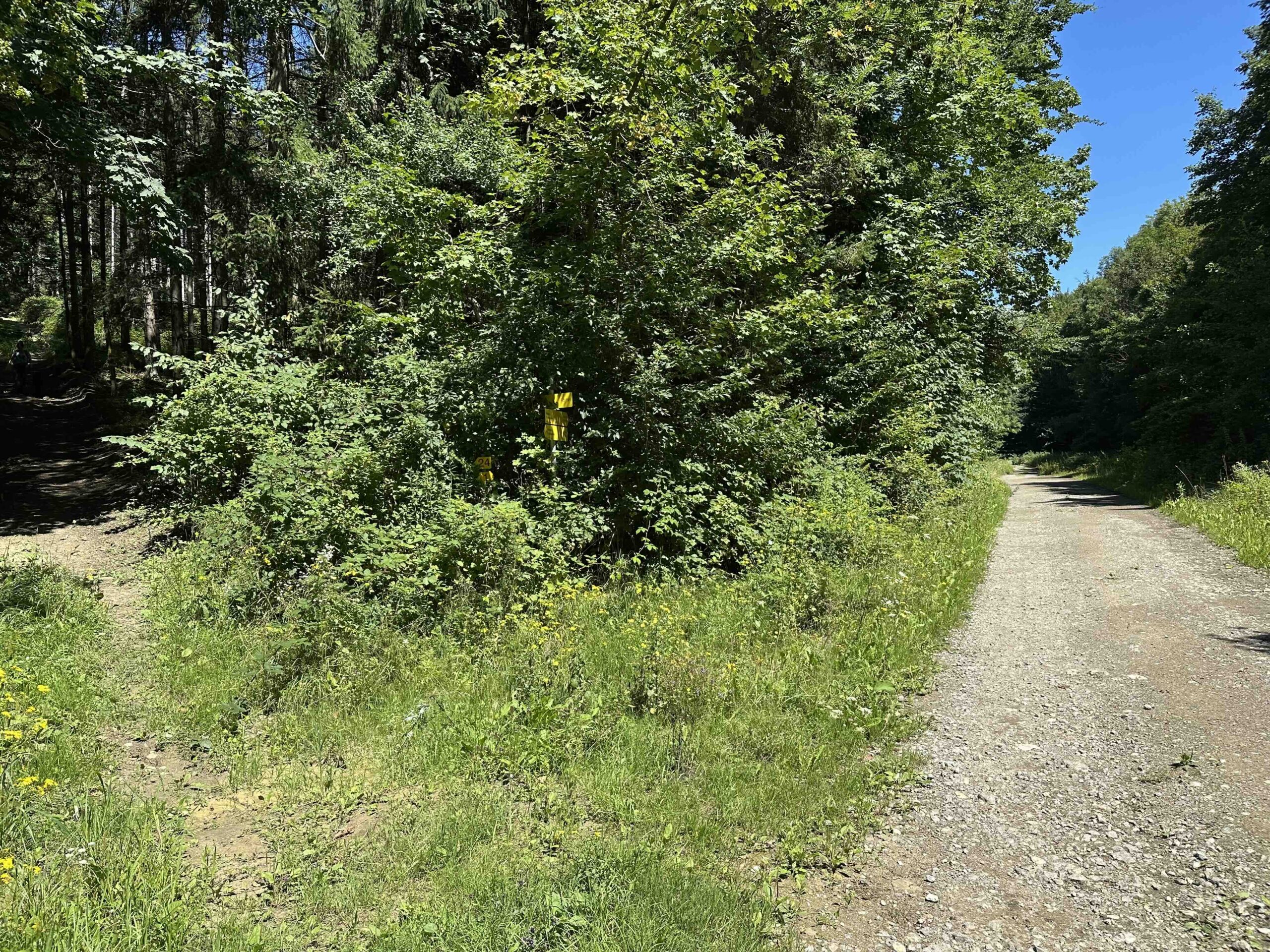 Wegknoten Brunnriedgraben