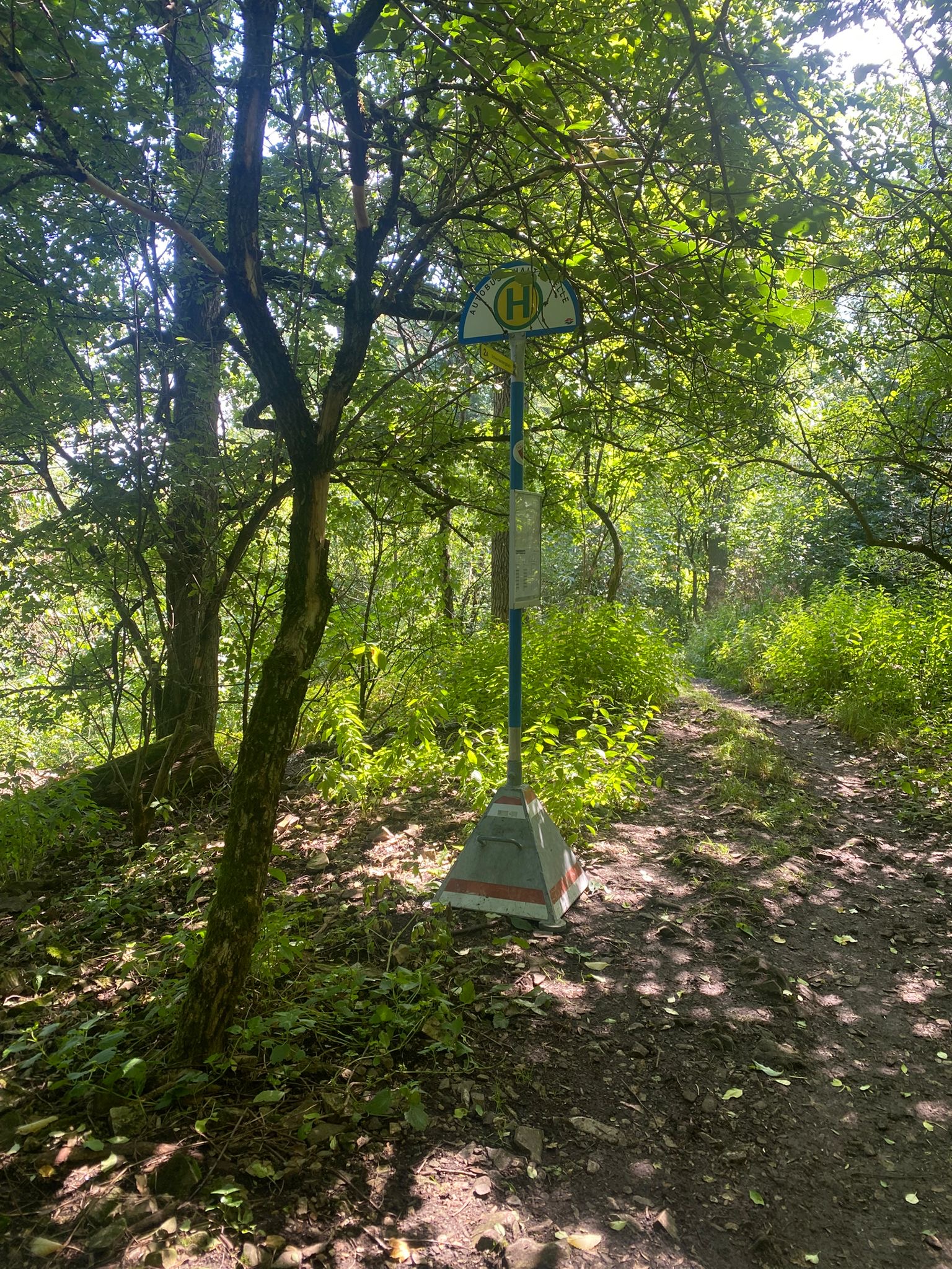 Ein lustiges Erlebnis bei der Habsburgwarte