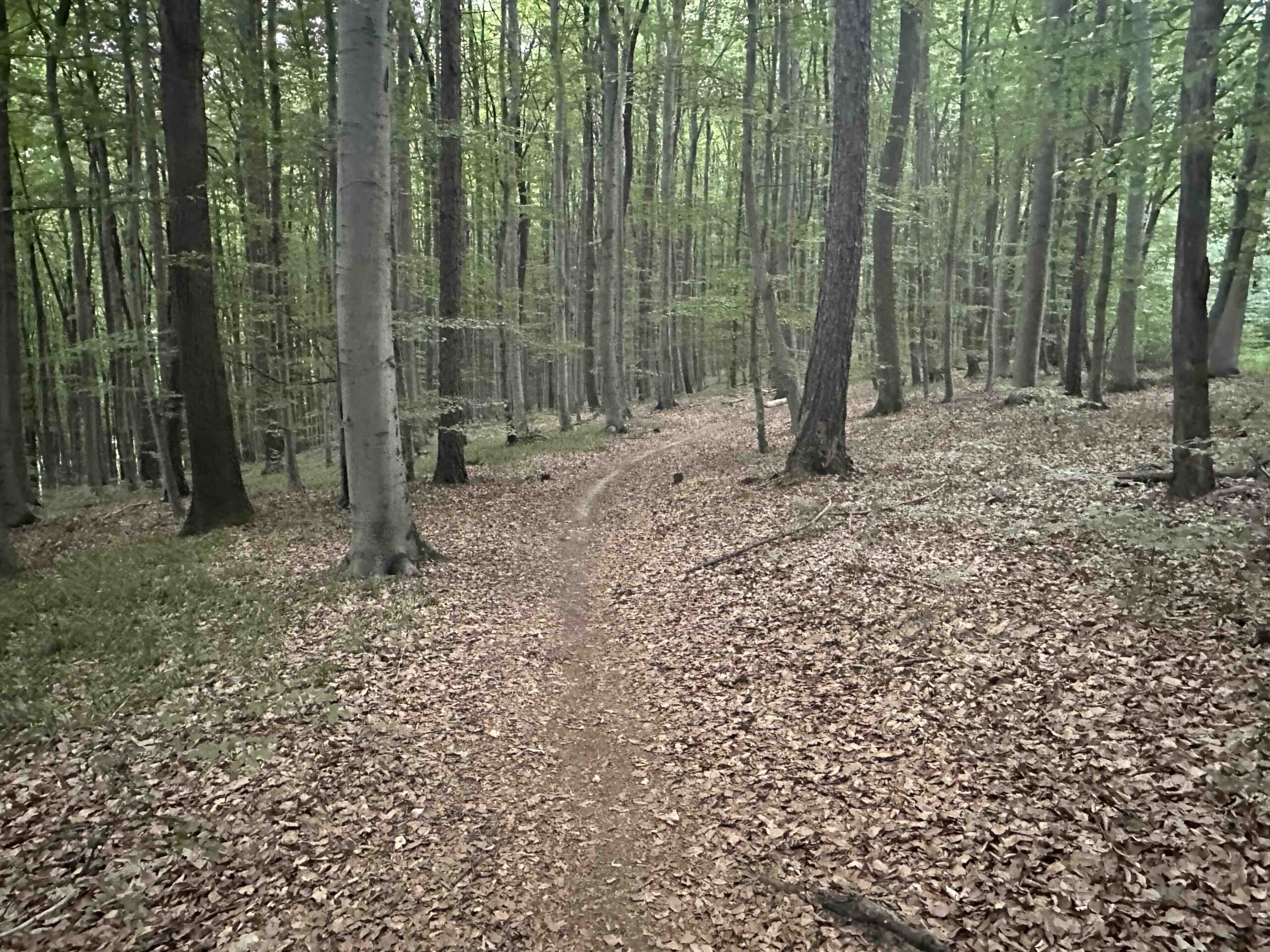 Gablitz-Rabenstein8