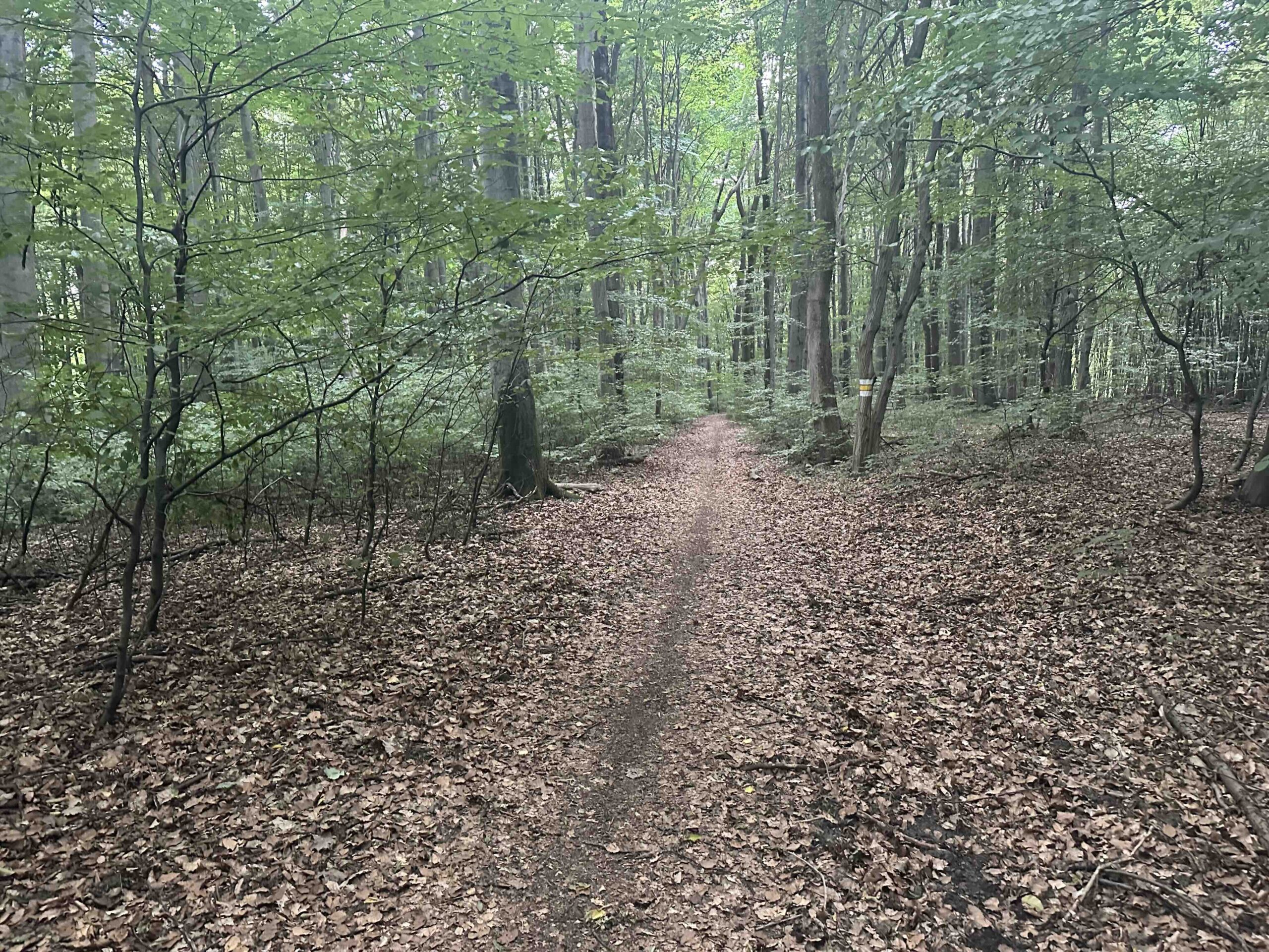 Gablitz-Rabenstein9