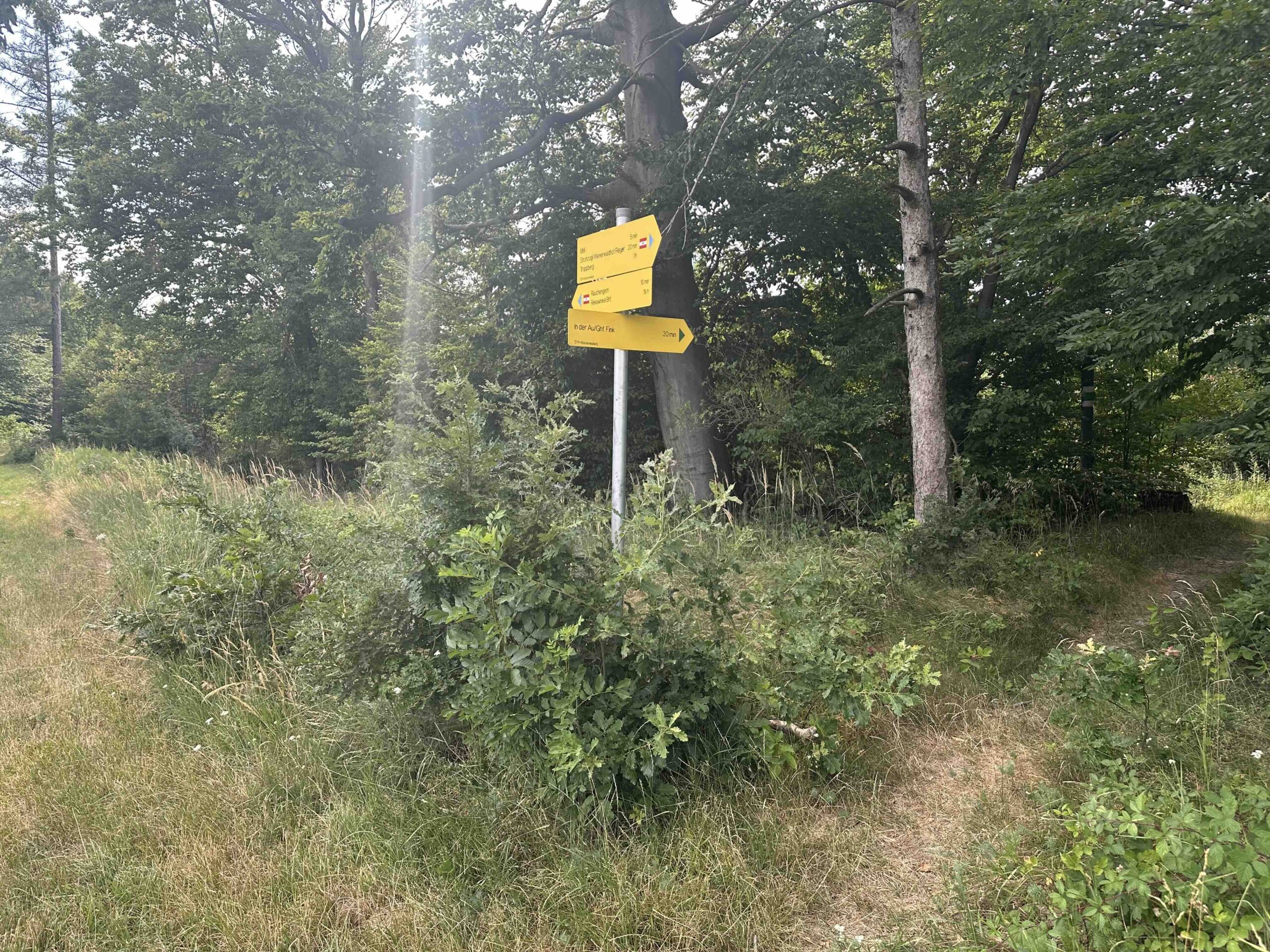 Wegknoten Hinterer Steinberg