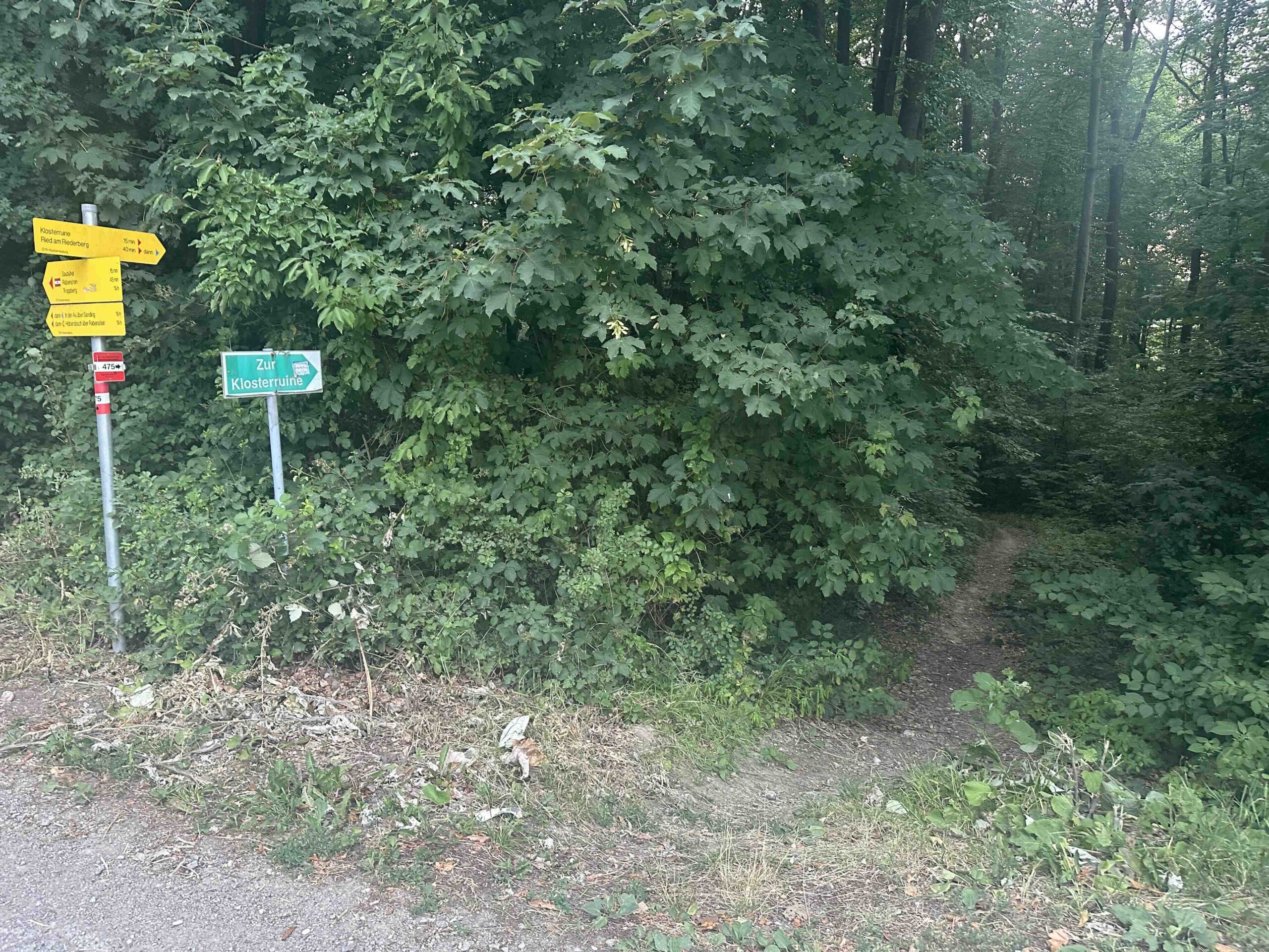 Klosterruine-Riederberg3