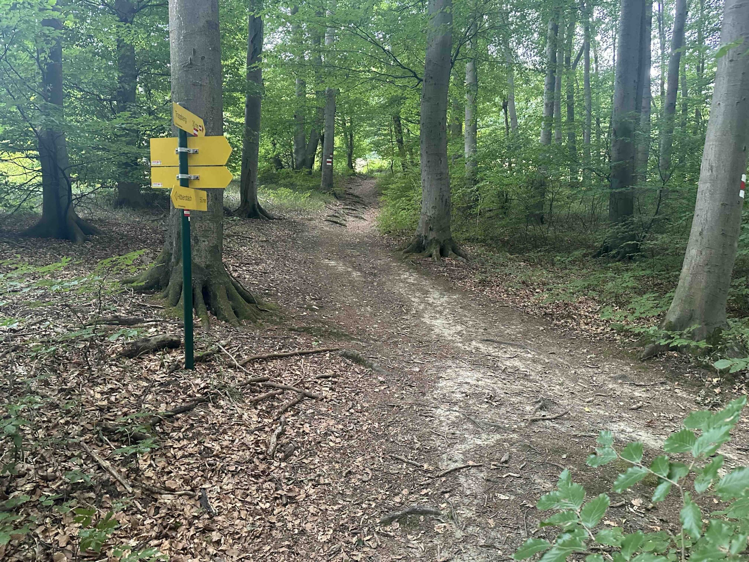 Wegknoten Rabenstein