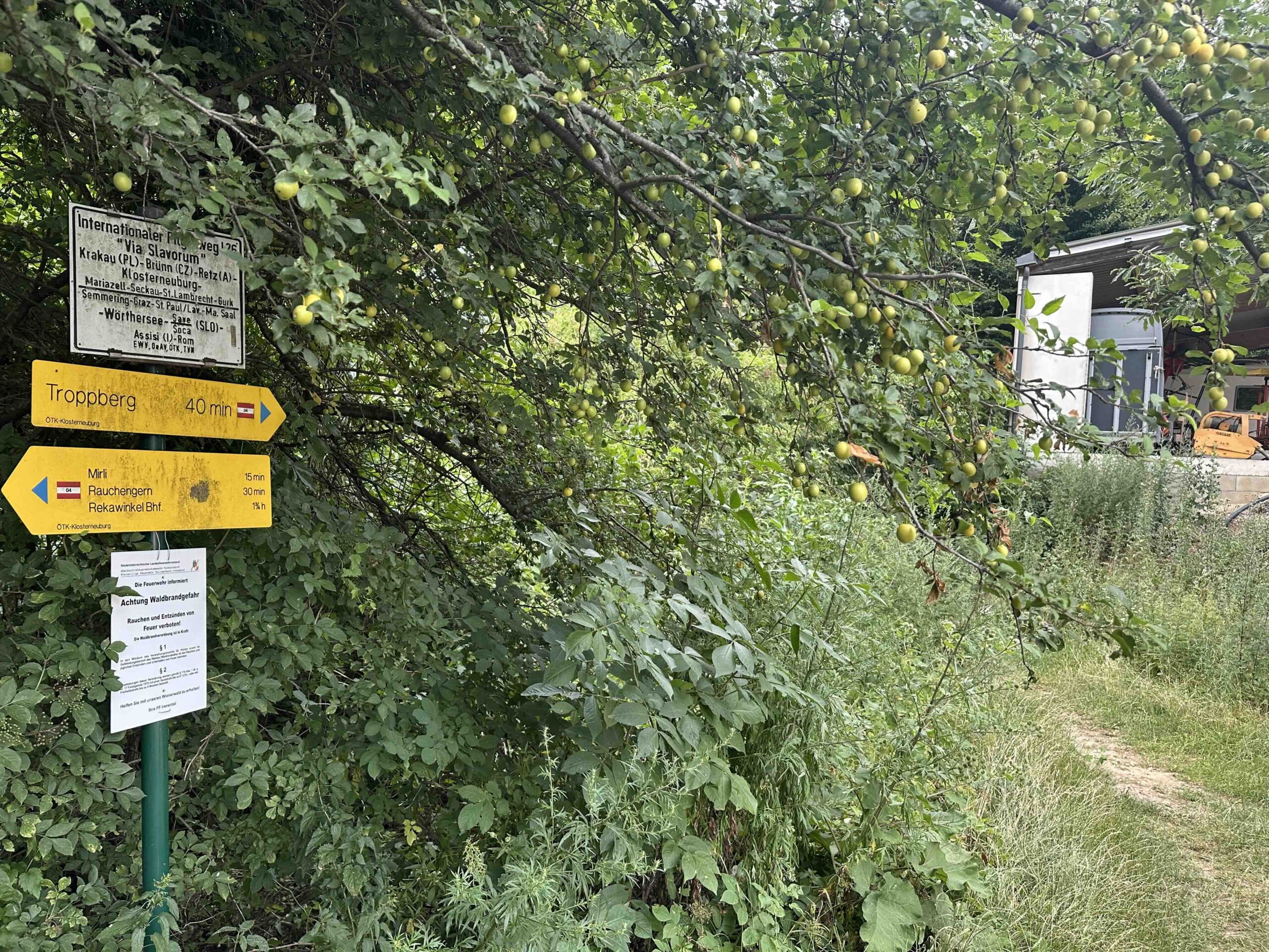 Rauchengern-Troppberg12