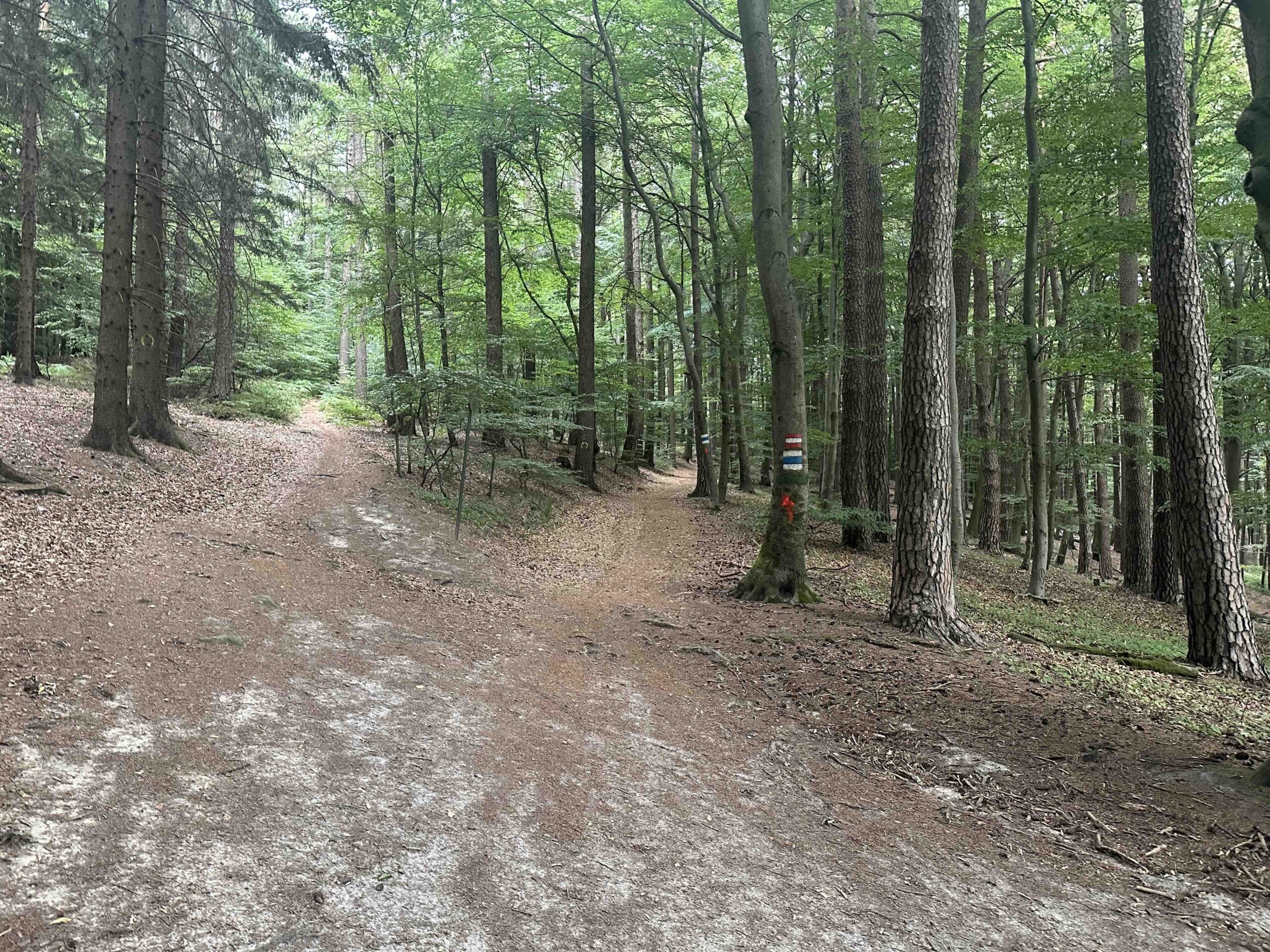 Rauchengern-Troppberg16