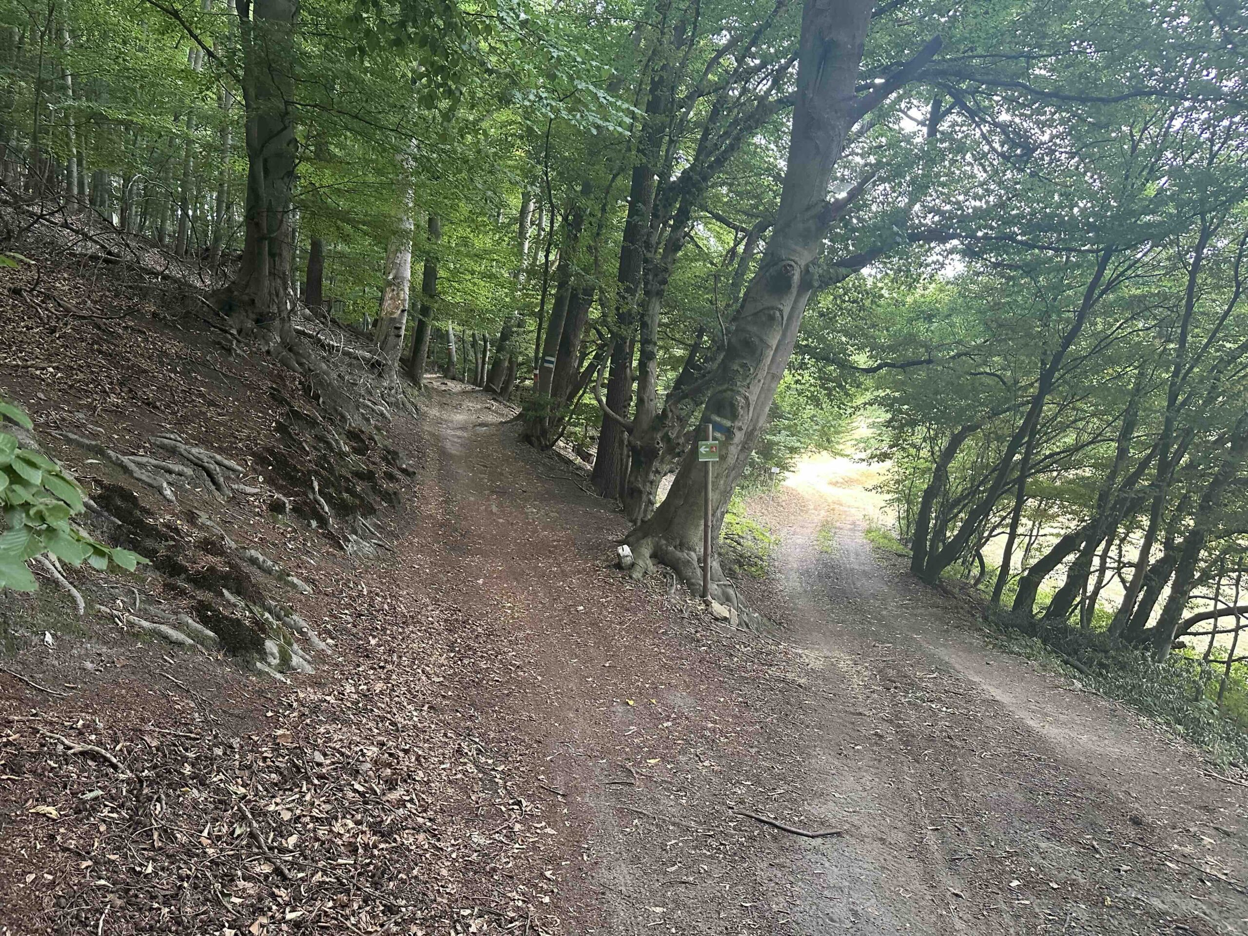 Rauchengern-Troppberg19