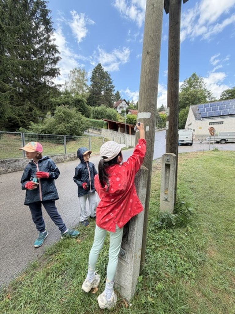 Jugendmarkierungswanderung20260723-01