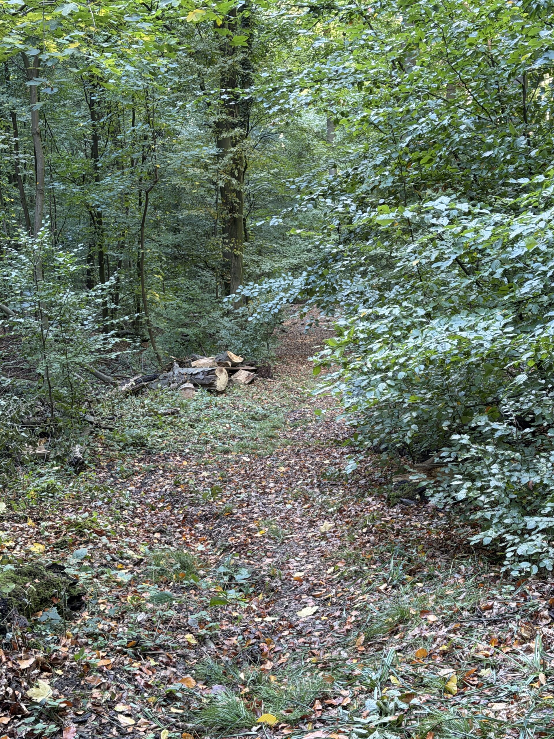 20261022_120133107_iOS