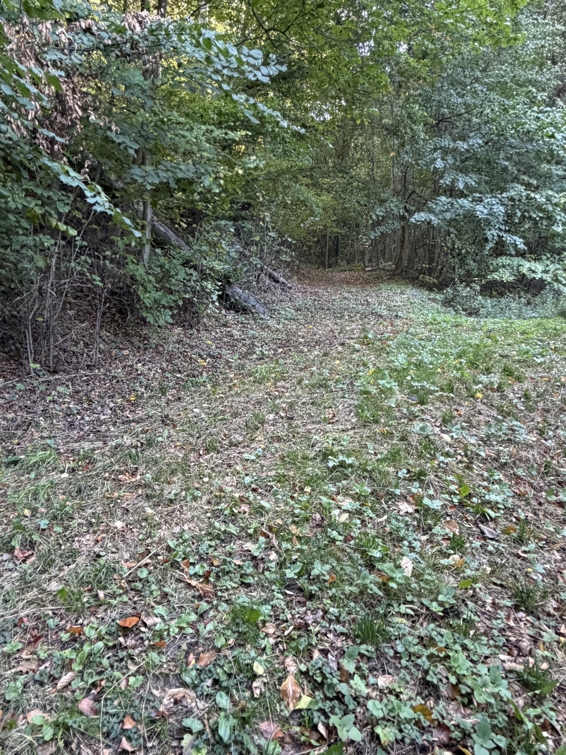 20261022_121615654_iOS