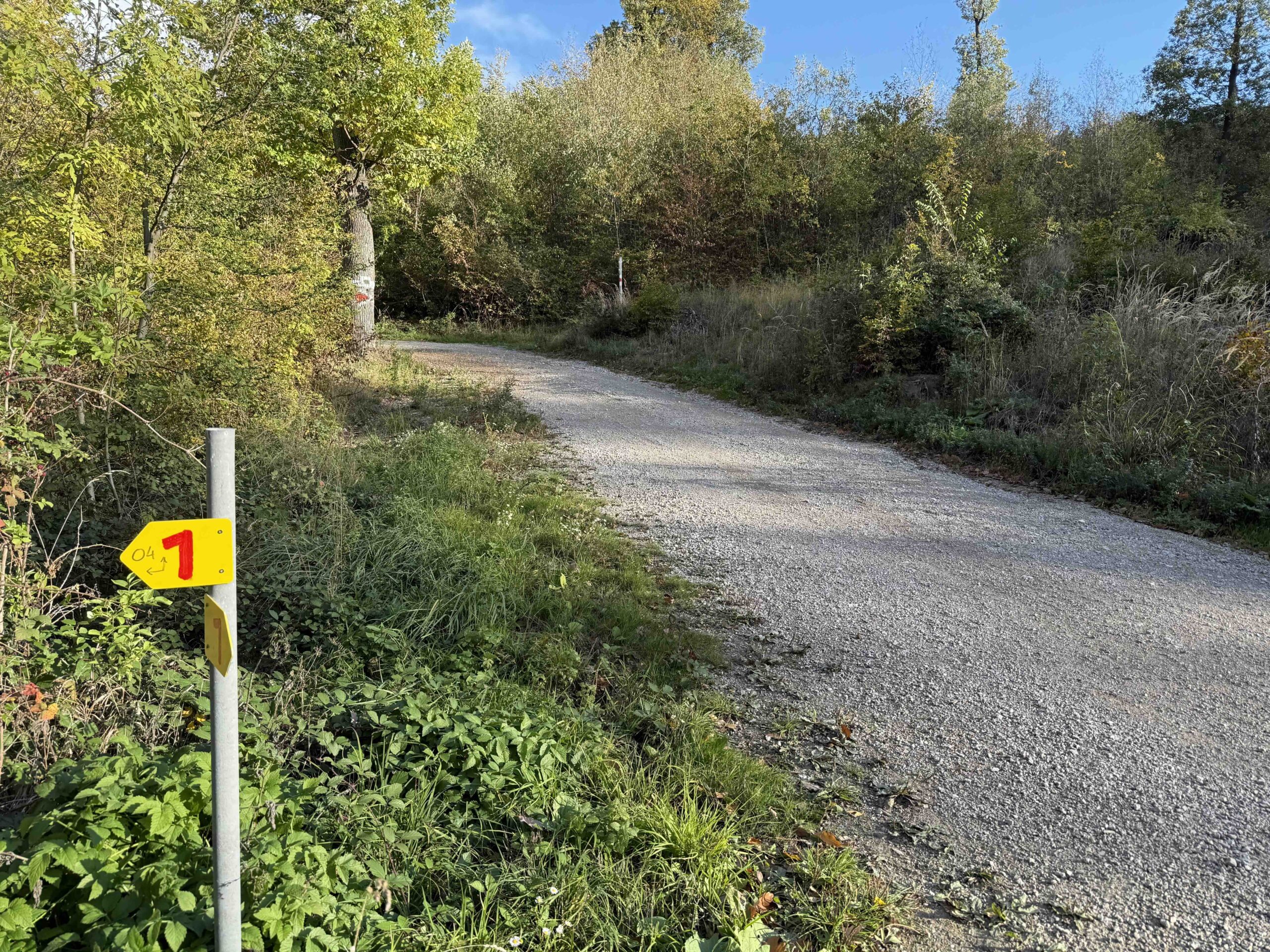 Wegknoten Buchberg bei Purkersdorf