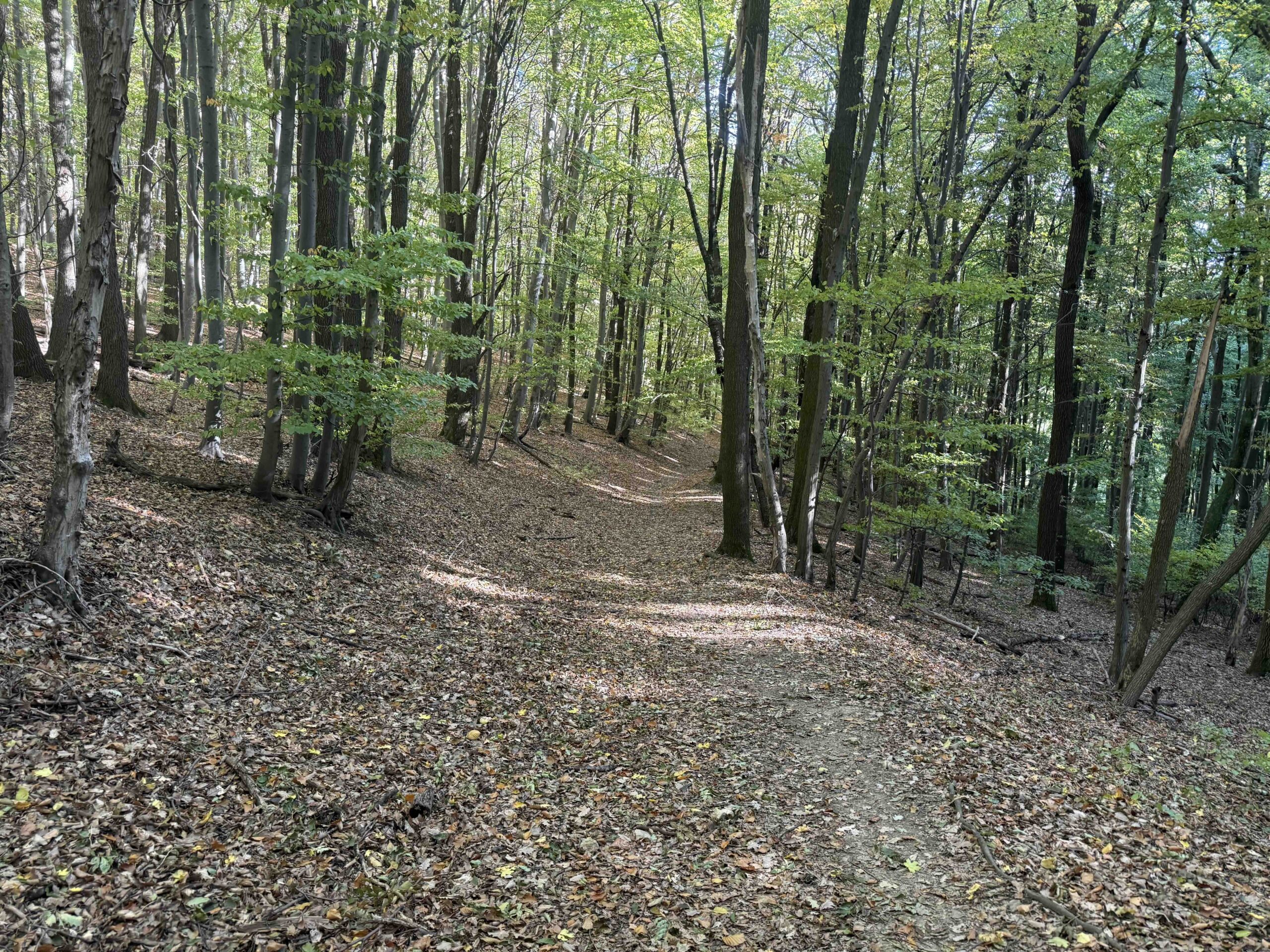 Hadersdorf-Buchberg10