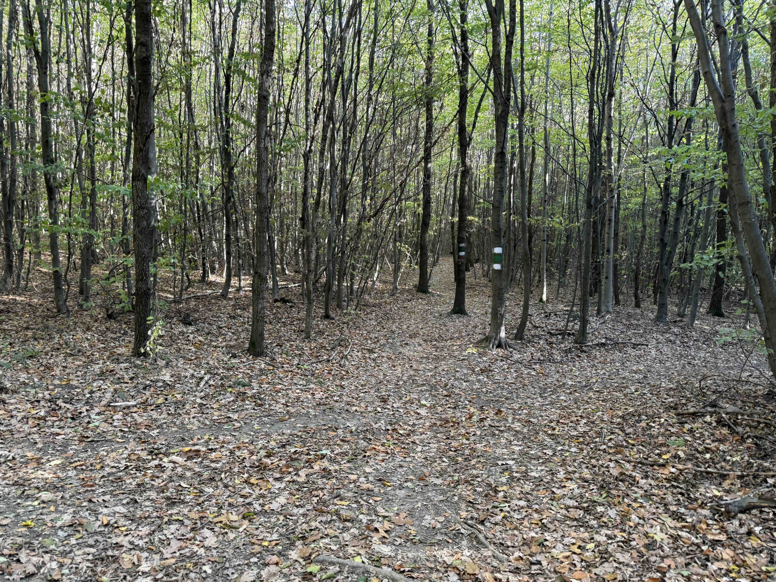 Hadersdorf-Buchberg11