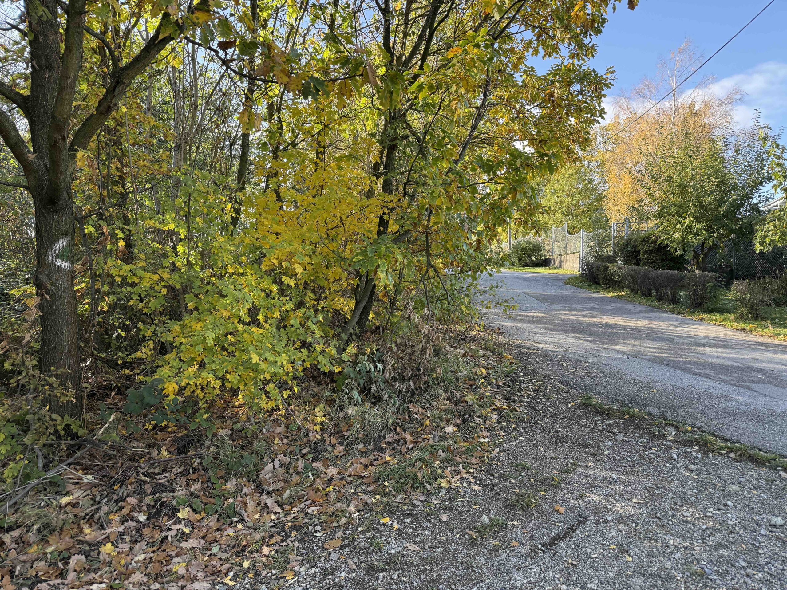Hadersdorf-Buchberg13
