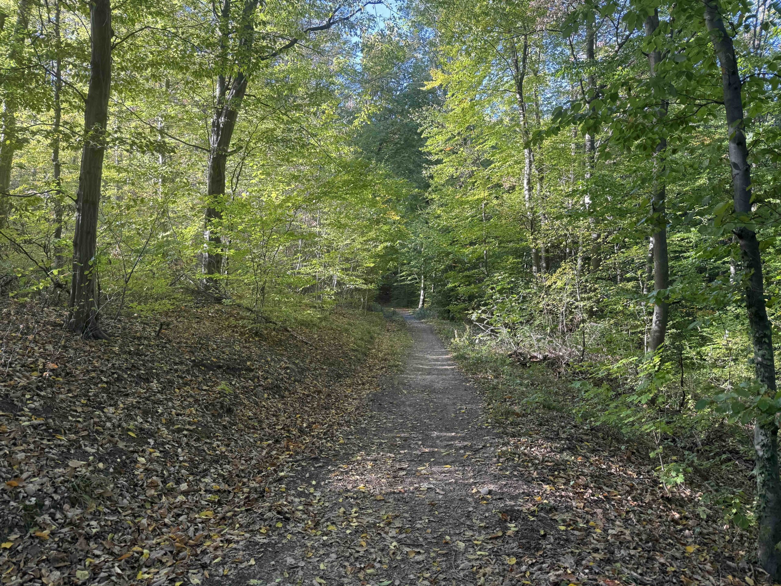 Hadersdorf-Buchberg3