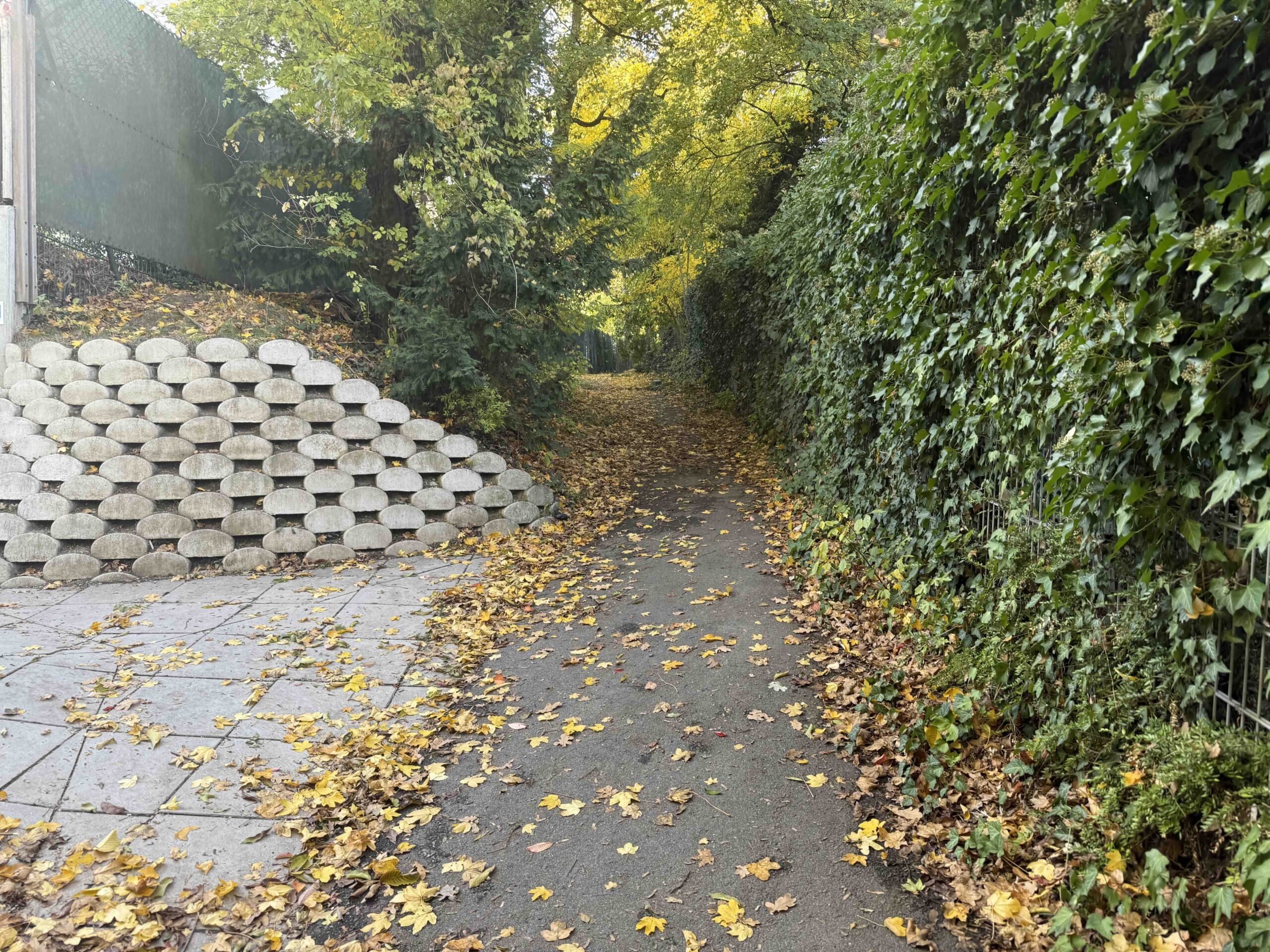 Hadersdorf-Erdburgweg3