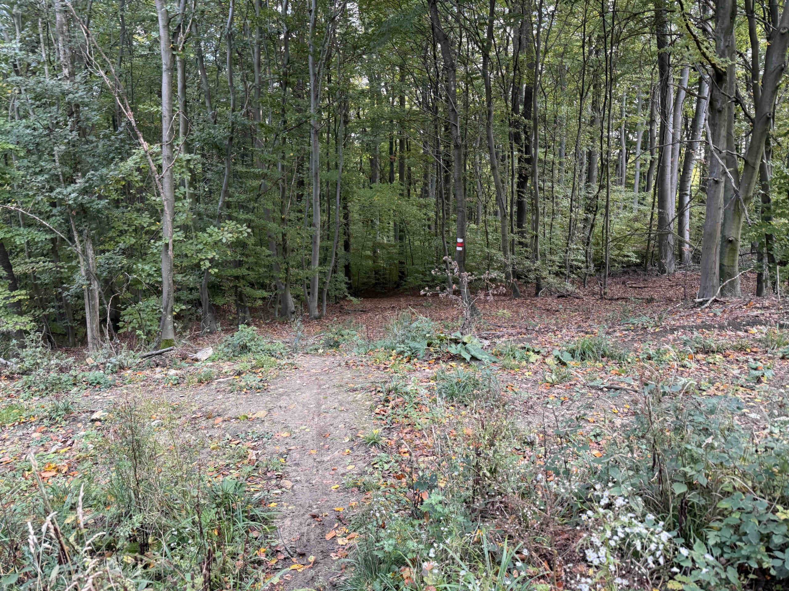 Purkersdorf-Buchberg11