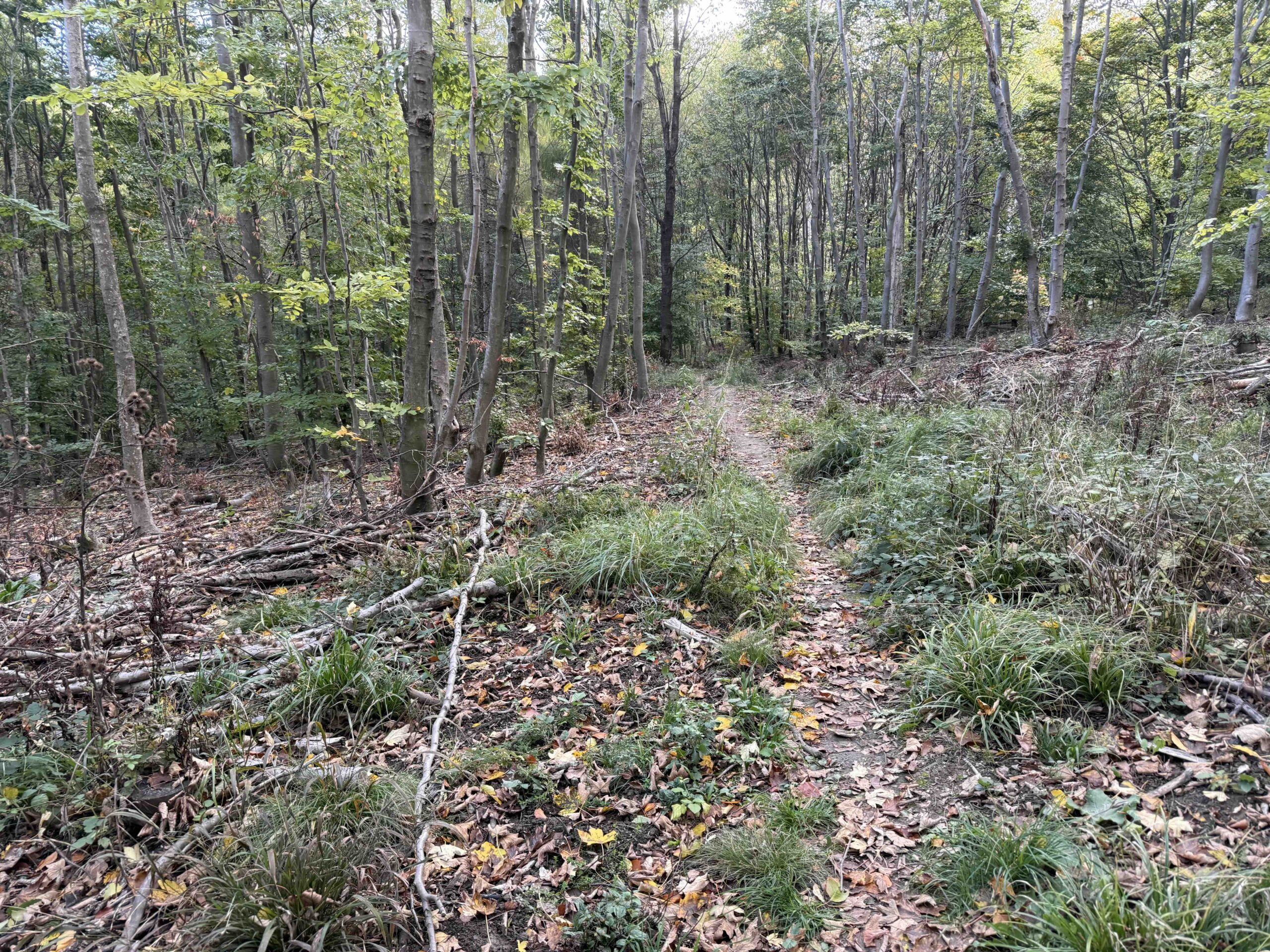 Purkersdorf-Buchberg12
