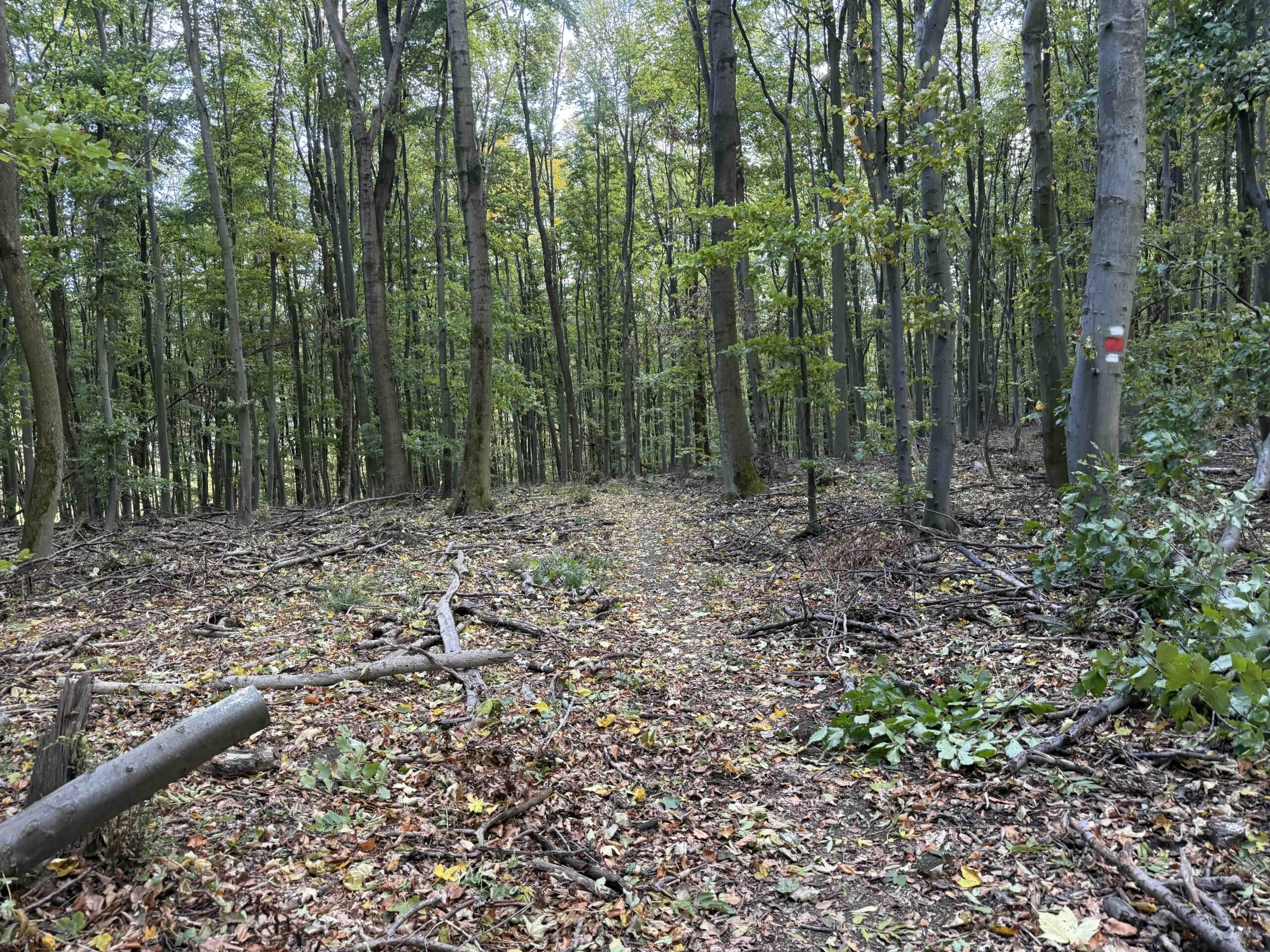 Purkersdorf-Buchberg13