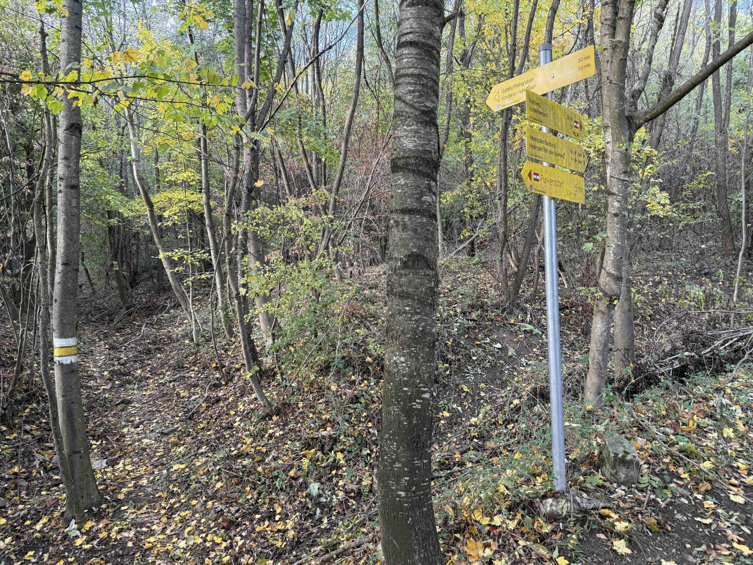Wegknoten Purkersdorf/Hang