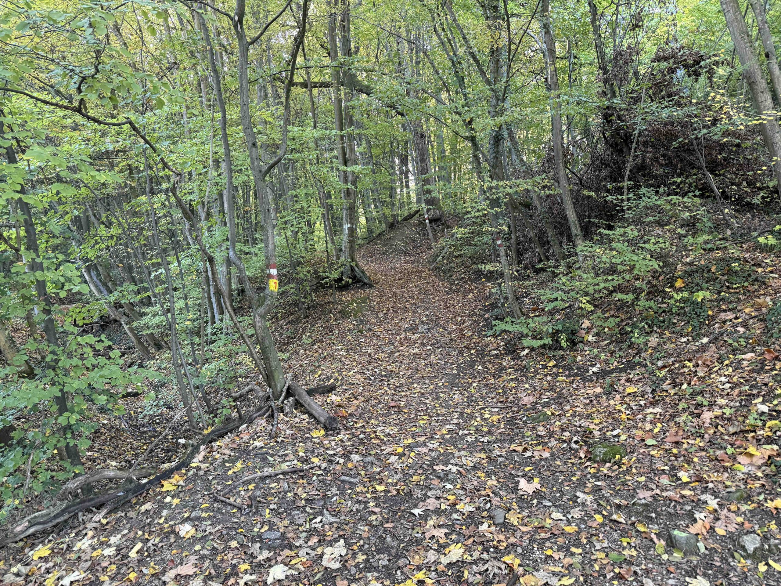 Vorderhainbach-Buchberg2