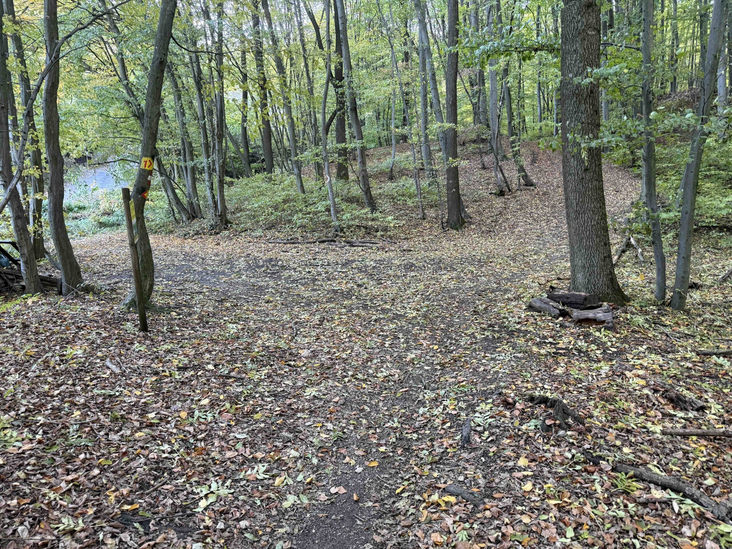 Vorderhainbach-Buchberg7